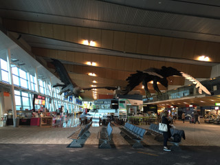 Wellington_airport