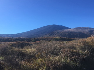 Tongariro1