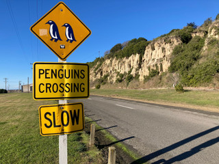 Sign_of_penguins