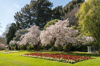 Queens_park_southland_new_zealand_c