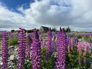 Tekapo