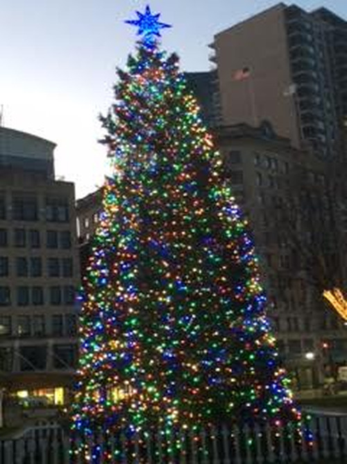 Christmas_tree_boston_2