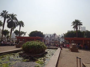 Photo_19