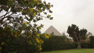 Photo_76