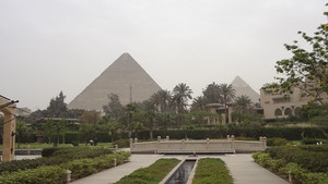 Photo_78