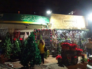 Photo_8