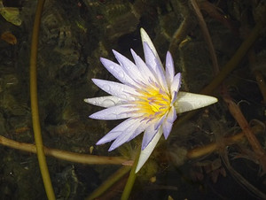 Photo_28