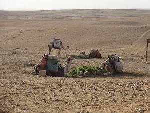 Photo_6