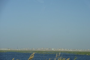 Photo_14