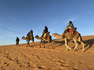 Camel_ride