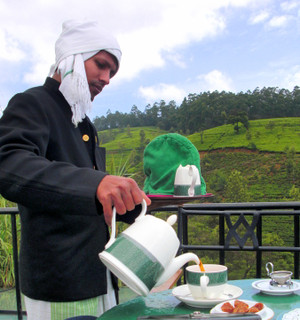 Tea_serveing_at_tea_factory