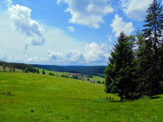 Schwarzwald