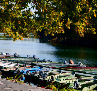 Rhein