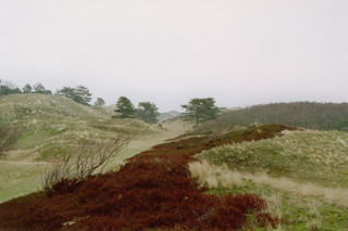 Spiekeroog