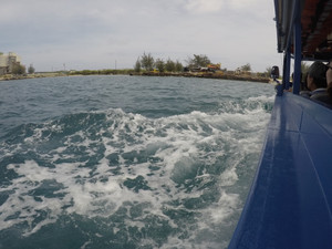 G0122274