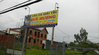 Cau_ca_giai_tri_que_huong