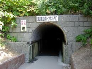 Photo_9