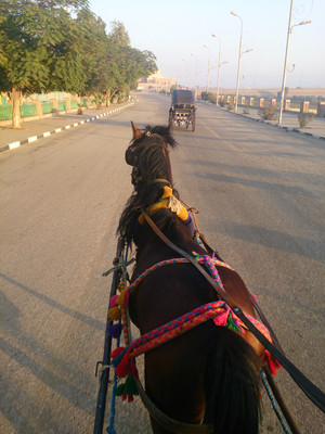 Image1_2
