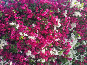 20150307_070614