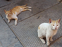 20150308_153940_2