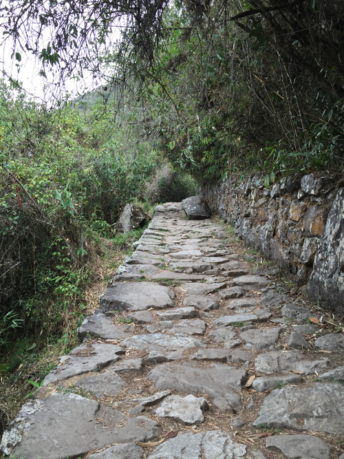 Image8