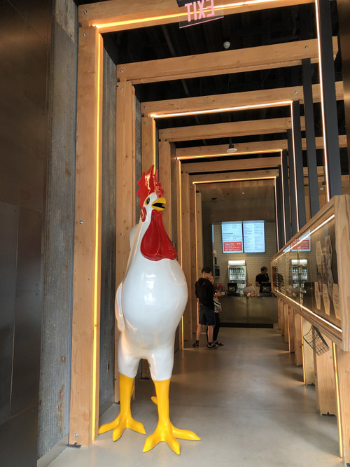 Entryway_chicken