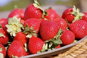 Sunny_ridge_strawberries_xs