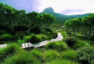 Cradle_mountain_huts572