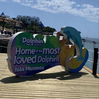 Dolphin_dis_sign
