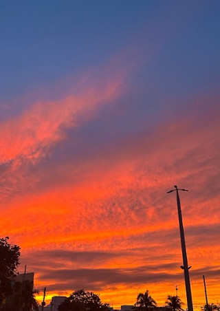Photo_3