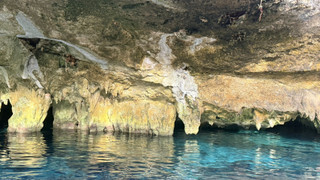 S__44294149_0 S__44294149_0