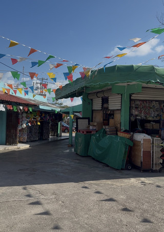 S__44408834 S__44408834