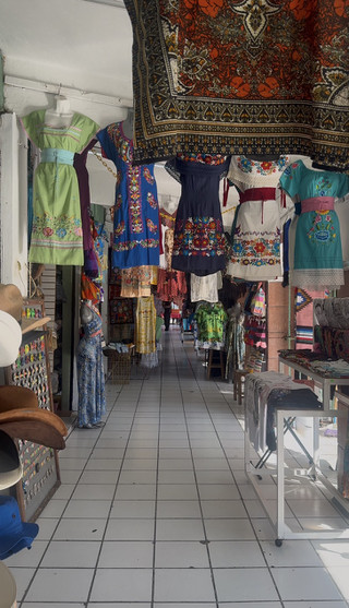 S__44408836_0 S__44408836_0