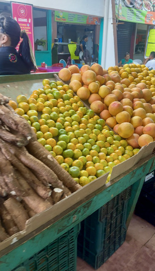 S__44417026 S__44417026