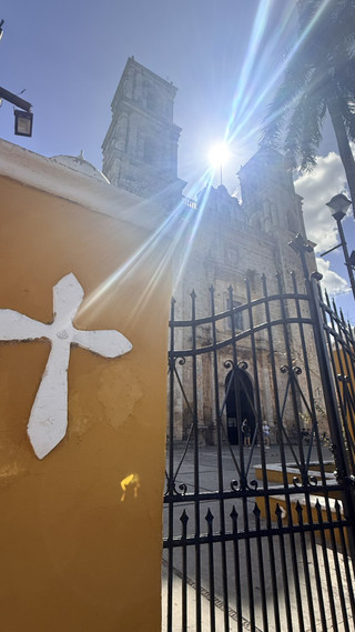 S__44654595_0 S__44654595_0