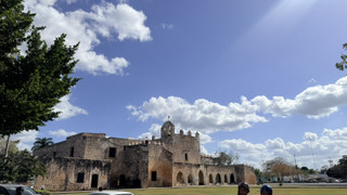 S__44654597 S__44654597