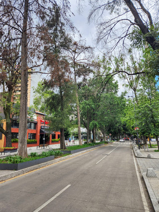 Whatsapp_image_20260317_at_125005_