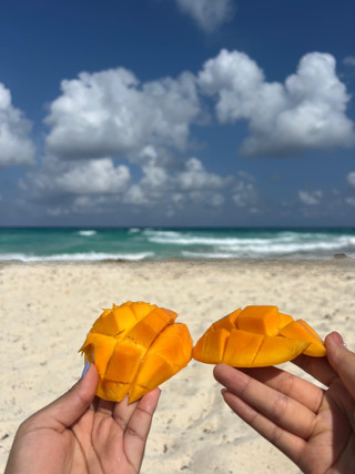 6199cab584d34b24b4ef6c865943df6f