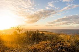Images_3