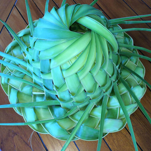 464974645_9425305610819636_56736701