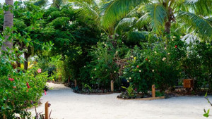Ivgardens_wide