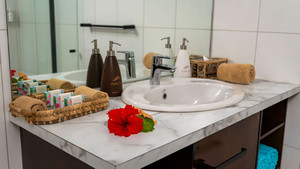 Raintreebathroom1_wide