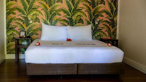 Raintreegroundfloorbed_wide