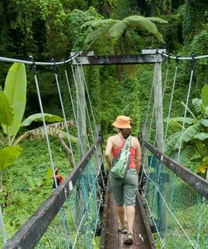 Photo_8