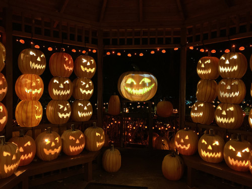 ハロウィーンナイトウォーク