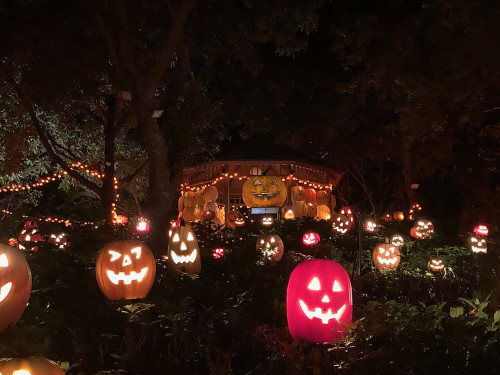 ハロウィーンナイトウォーク