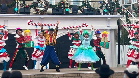 Fairies Christmas Wish