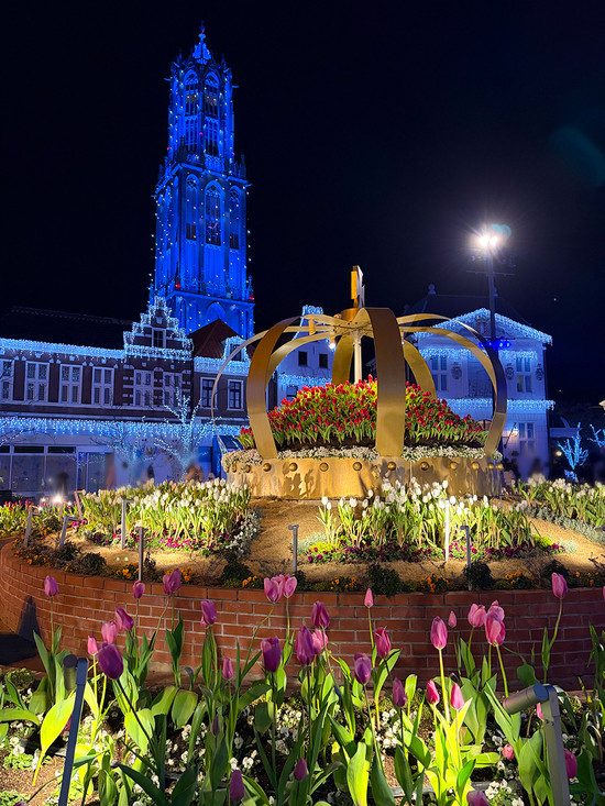 ナイトチューリップ ナイトチューリップ