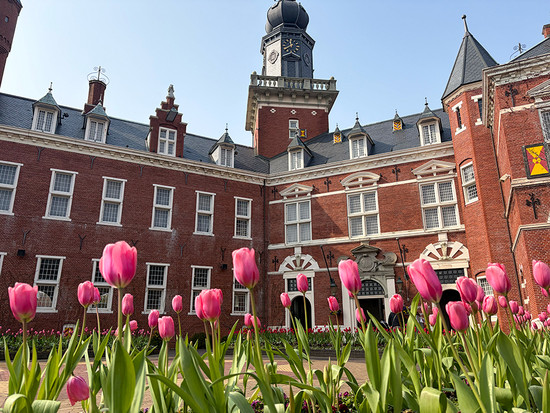 チューリップセレブレーション チューリップセレブレーション