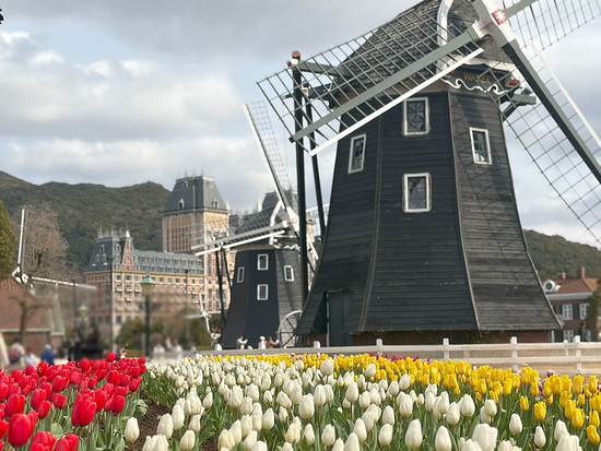 チューリップセレブレーション チューリップセレブレーション